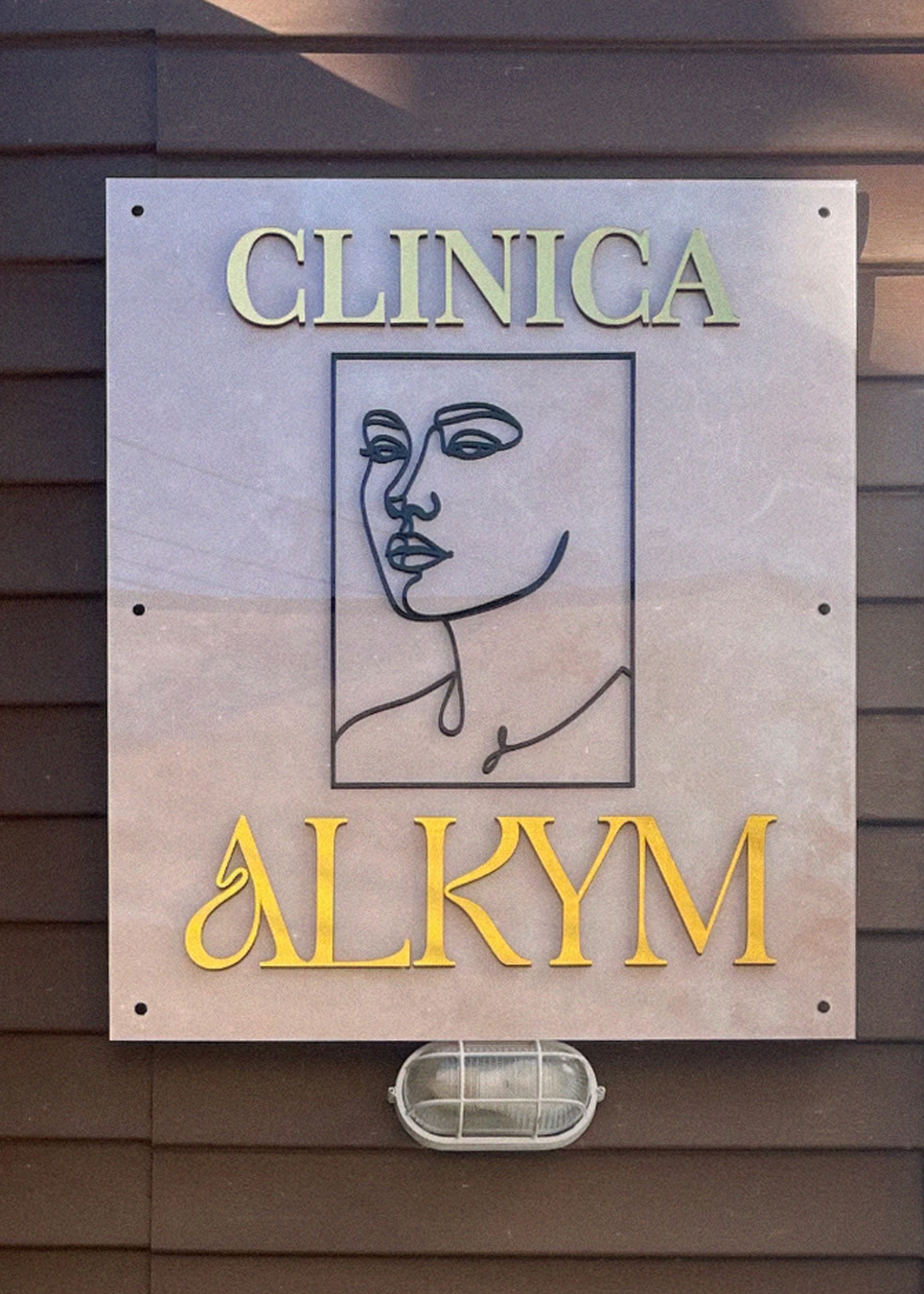 Entrada de Clínica Alkym, Illapel